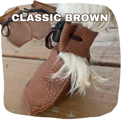 1 Pair of Dog Mocs (Sold in pairs) - Turquiose